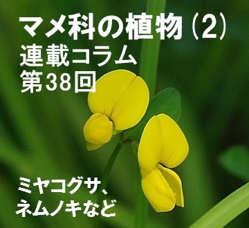 第38回