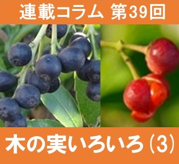 第39回