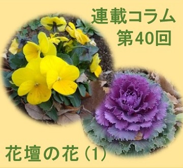 第40回